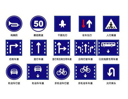 交通標志與安全用語概覽